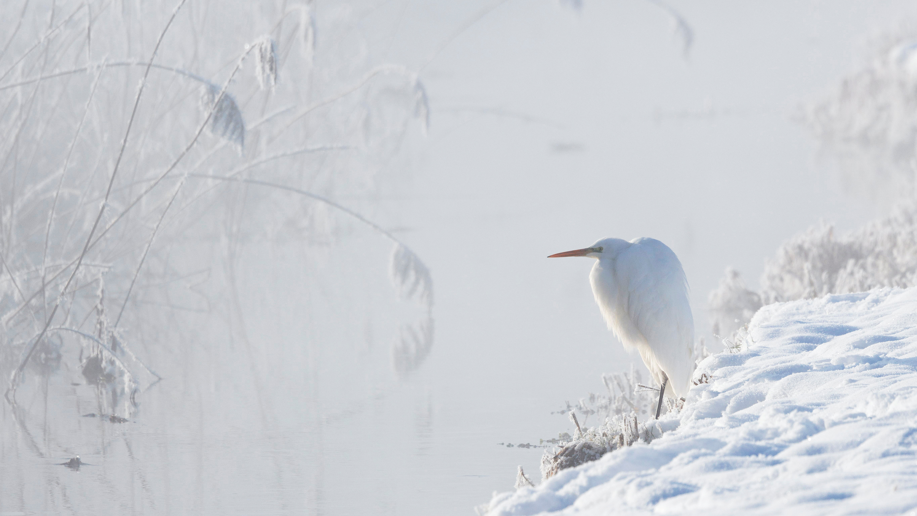 必应壁纸、必应摄影作品